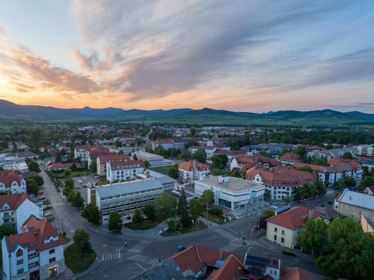 Hotel Bodrog Wellness & Elix Spa Sárospatak 외부 사진