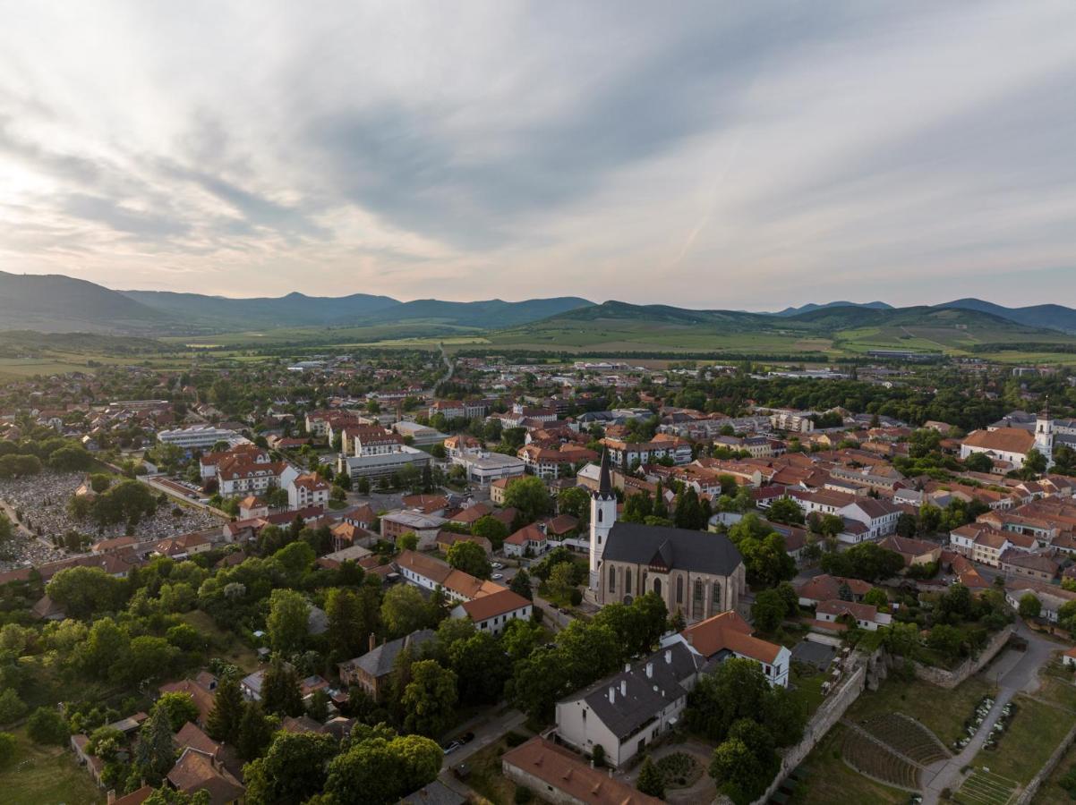 Hotel Bodrog Wellness & Elix Spa Sárospatak 외부 사진